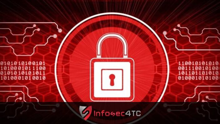 RED Teaming Training Course